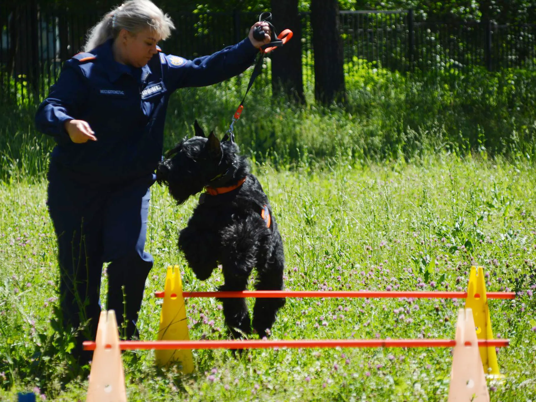 Фото: ГКУ МО «Мособлпожспас»
