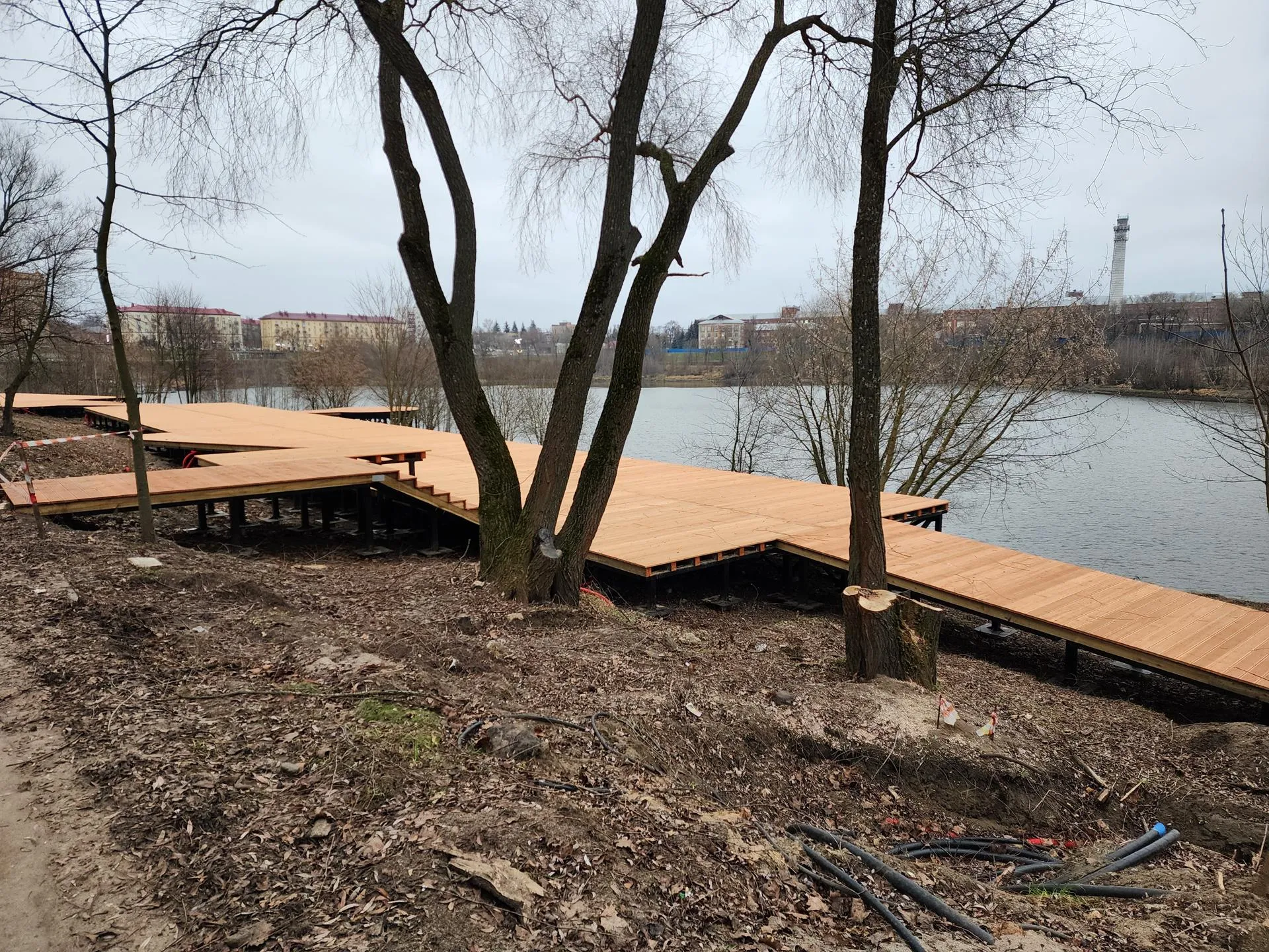 Фото: МедиаБанк Подмосковья/Ирина Моисеева