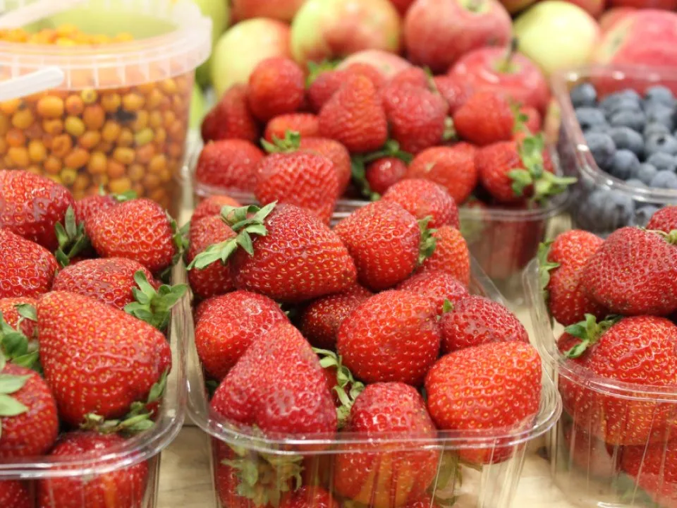 Фото: REGIONS/Анастасия Широкая