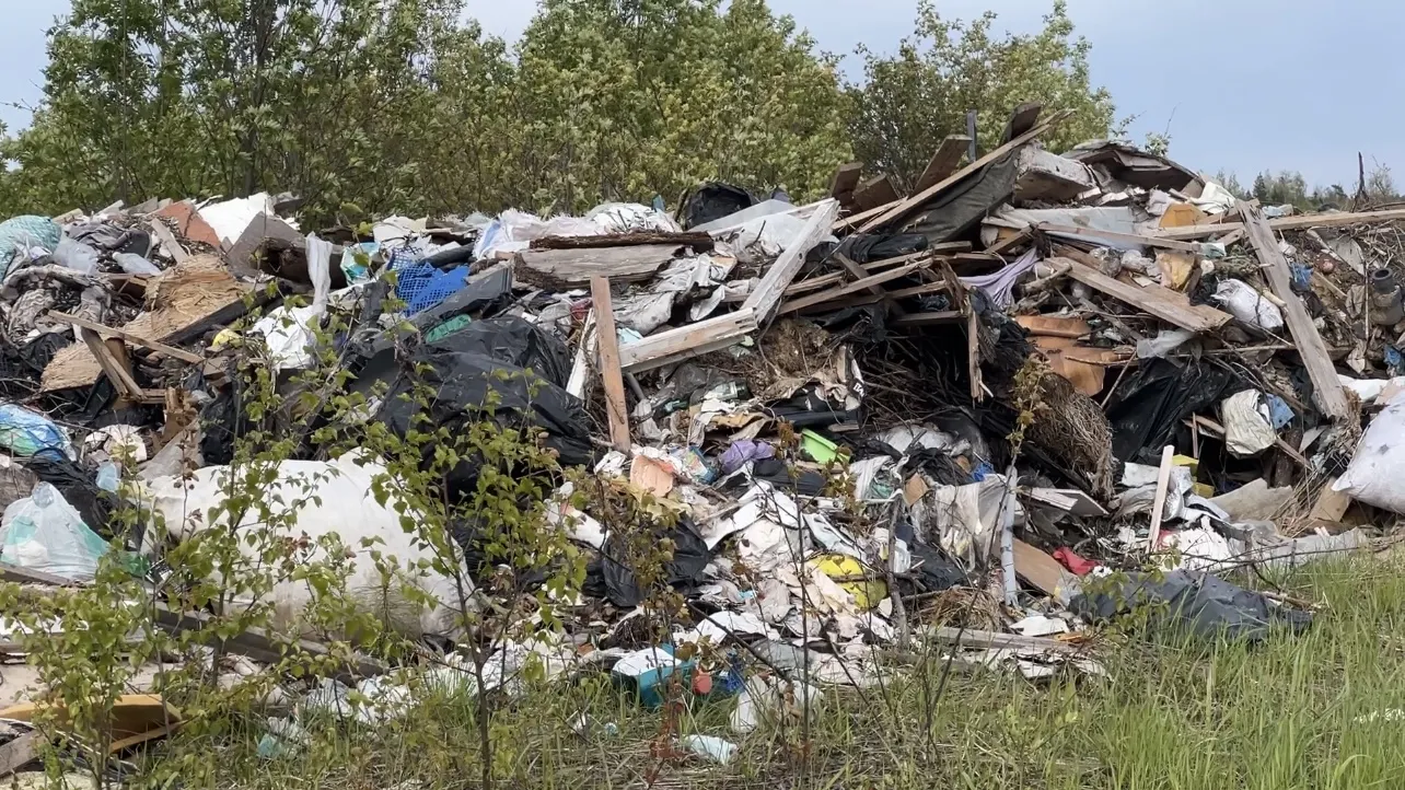 Фото: Валерия Ерофеева