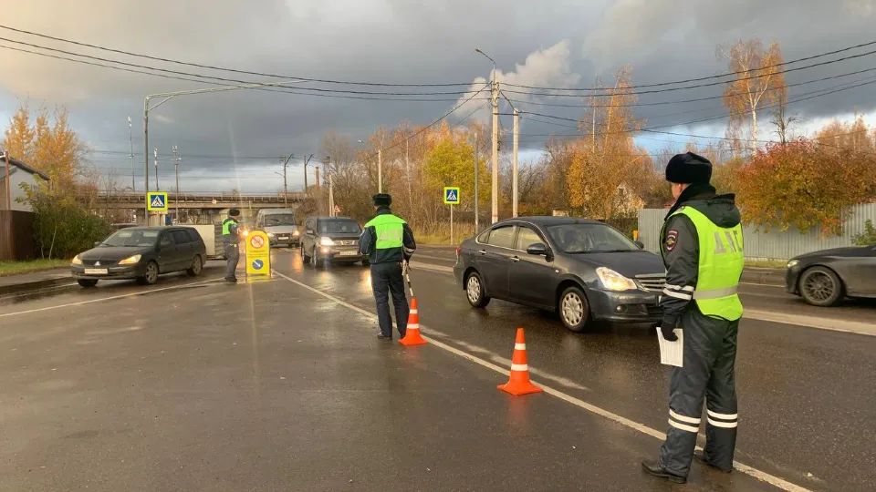 Фото: МедиаБанк Подмосковья/Анастасия Хренкова