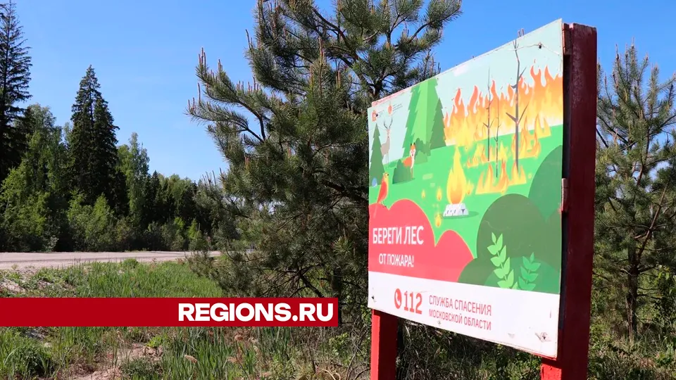 Фото: REGIONS/Василий Тремасов