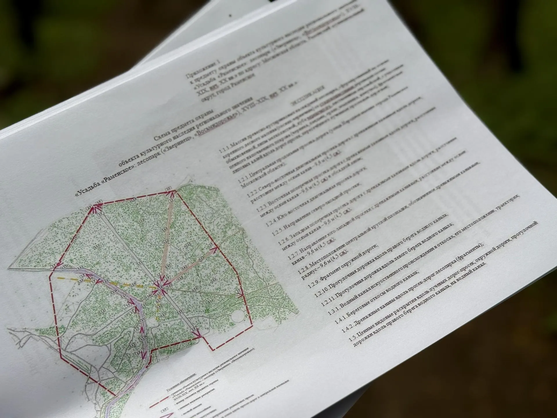 Фото: Ольга Стаферова