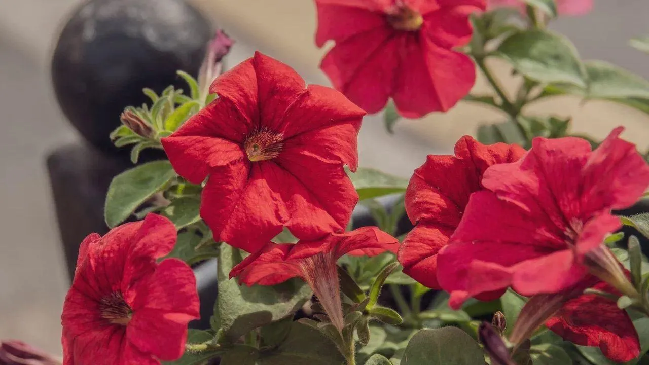 REGIONS/Наталия Надточая