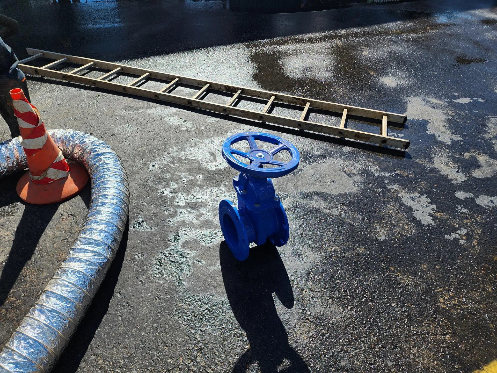 Фото: REGIONS/Сергей Орлов