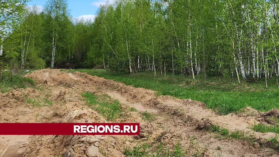 Фото: Валерия Тингаева