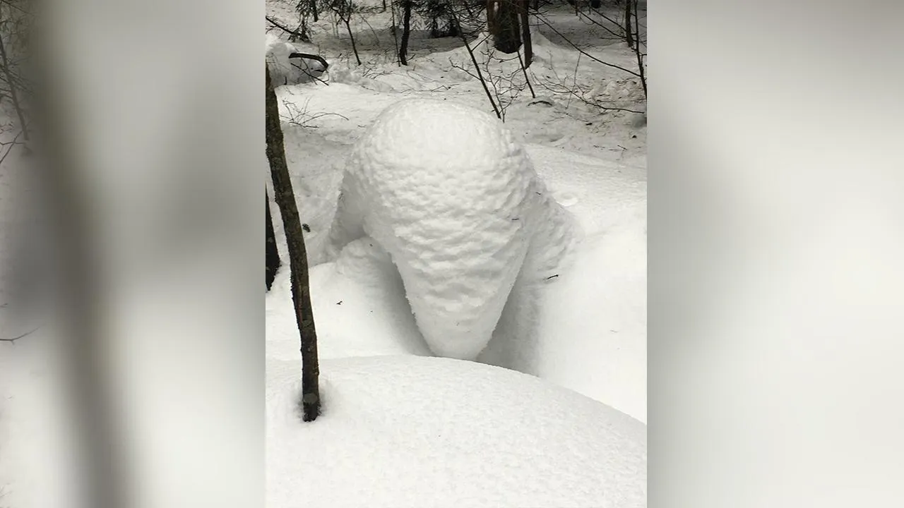 Андрей Синцов