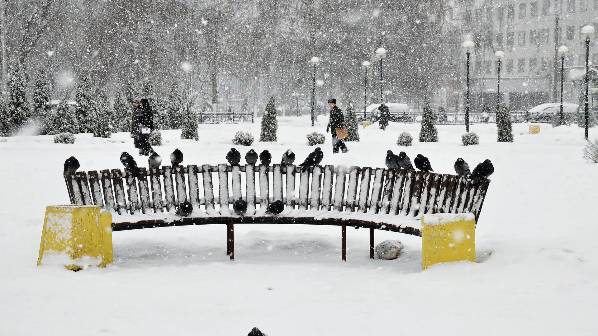 медиасток.рф