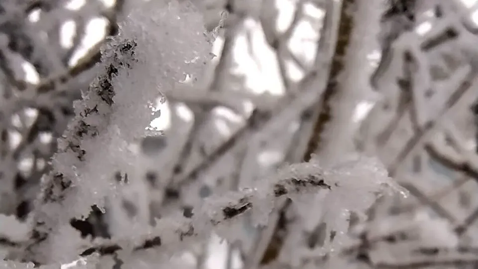 Фото: REGIONS/Роман Малышенко