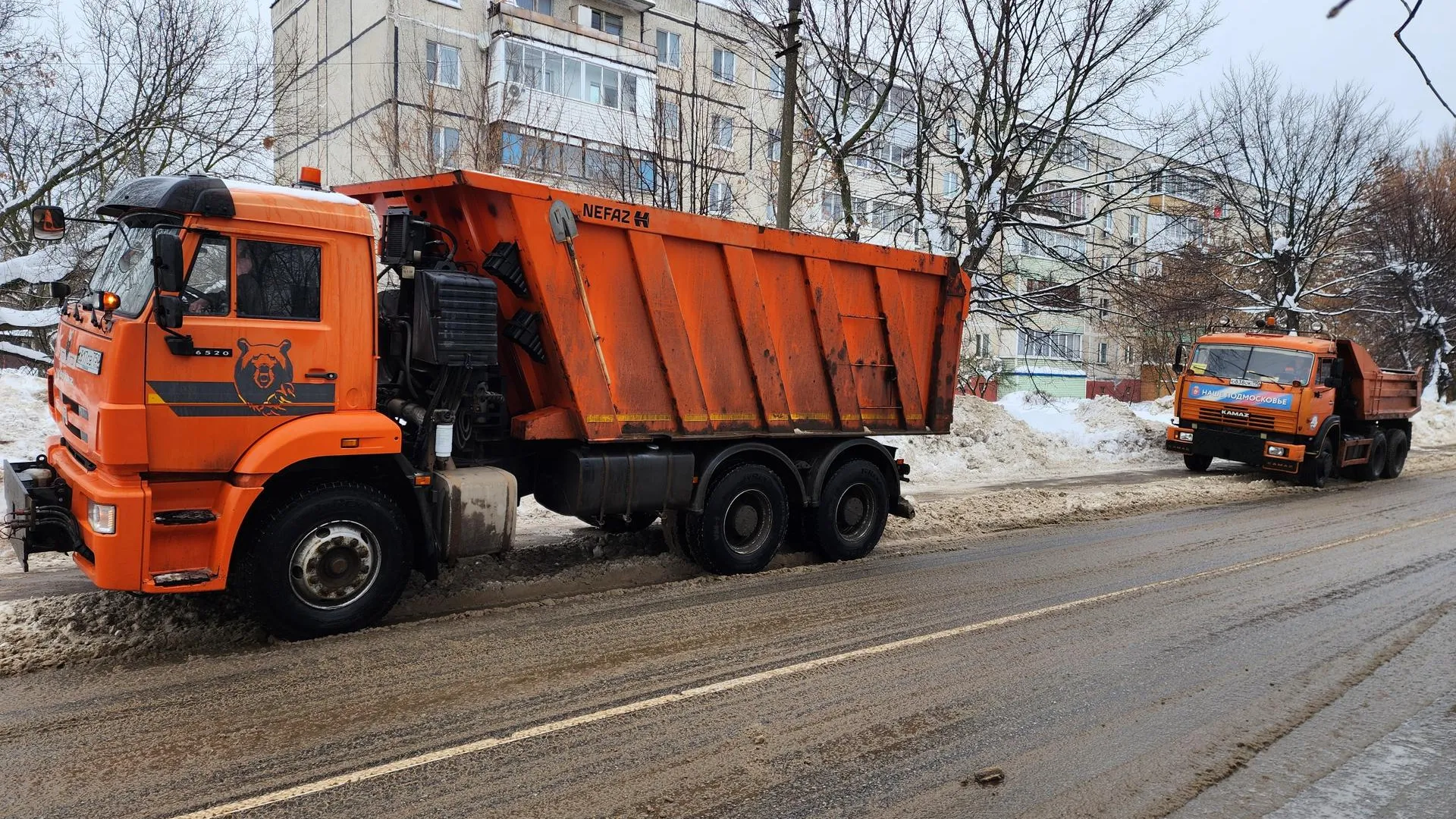 Ирина Моисеева