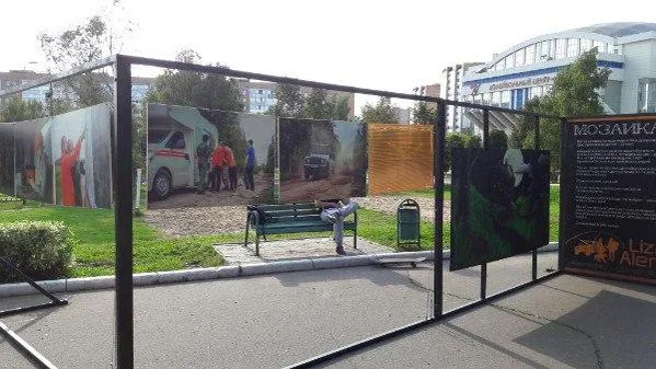 Вандалы разрушили выставку поискового отряда «Лиза Алерт» в Одинцове