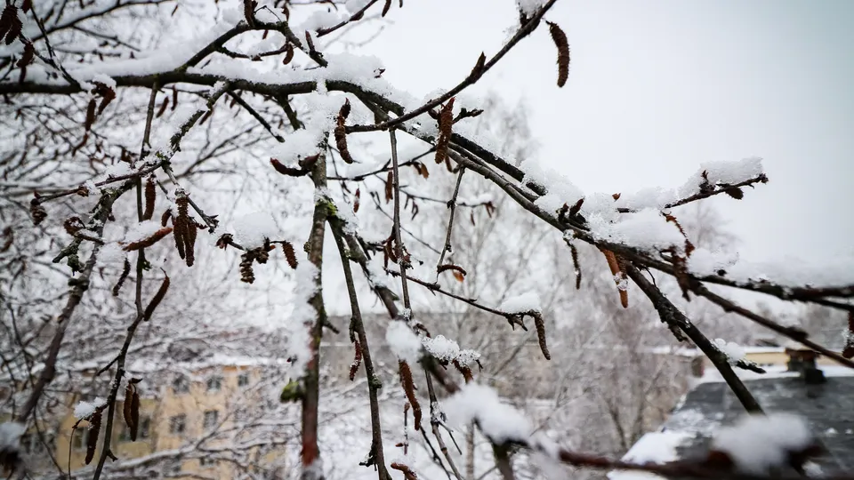 Фото: МедиаБанк Подмосковья/Данила Кирьянов