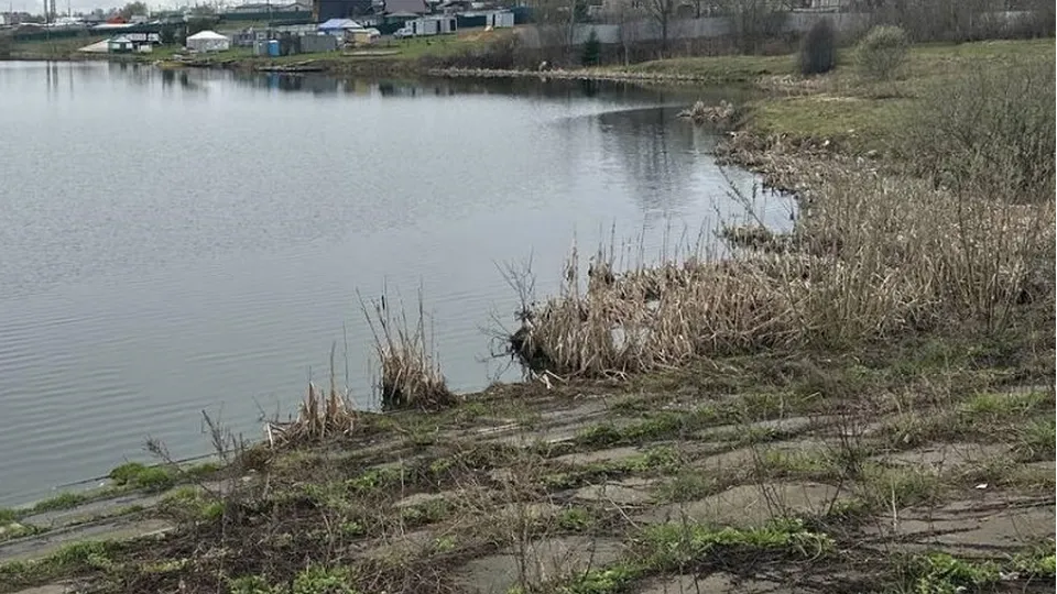 Фото: Министерство экологии и природопользования Московской области