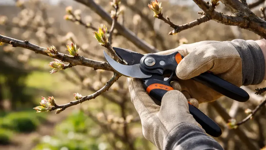 REGIONS/Сгенерировано нейросетью