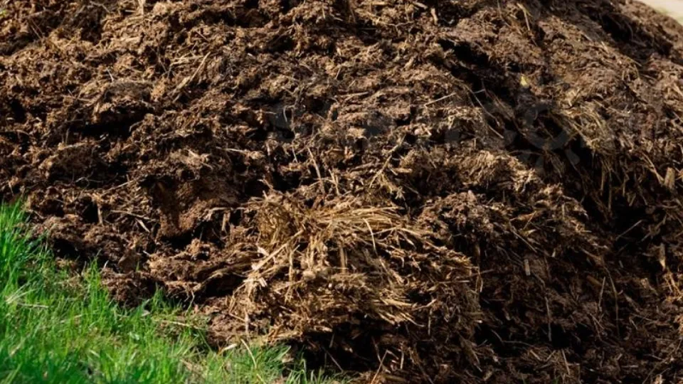 Фото: Министерство экологии и природопользования Московской области