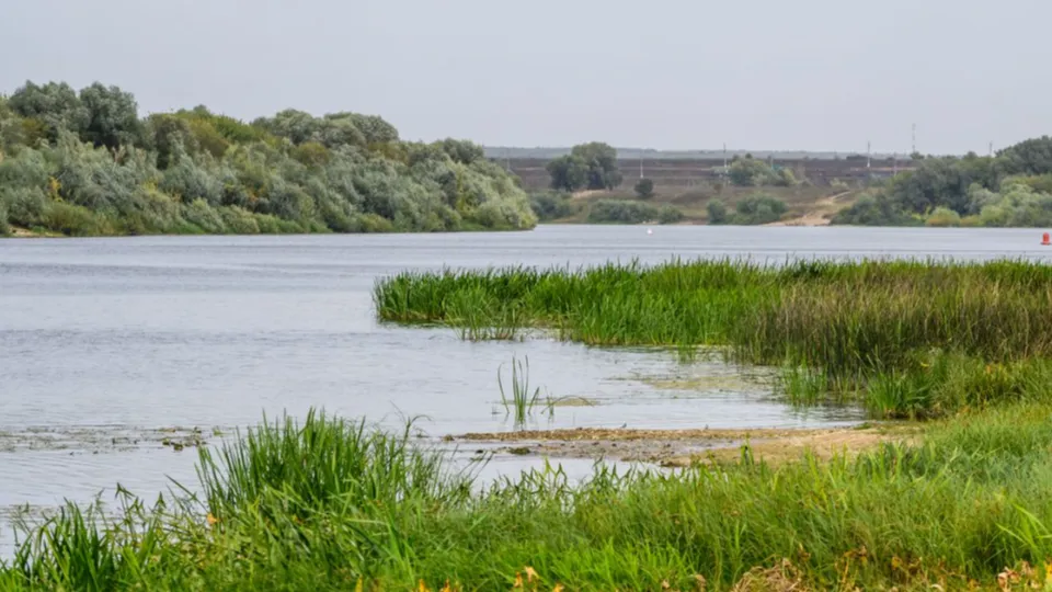 Фото: медиасток.рф