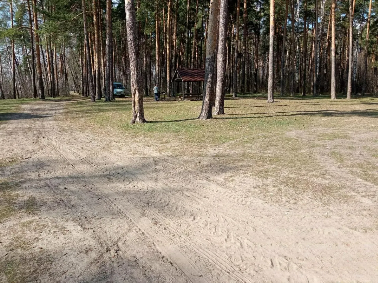 Фото: цифровая платформа «Добродел»