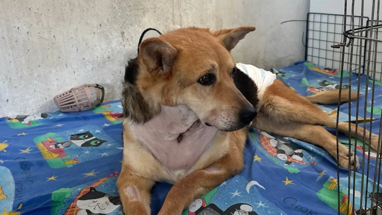 Фото: социальные сети