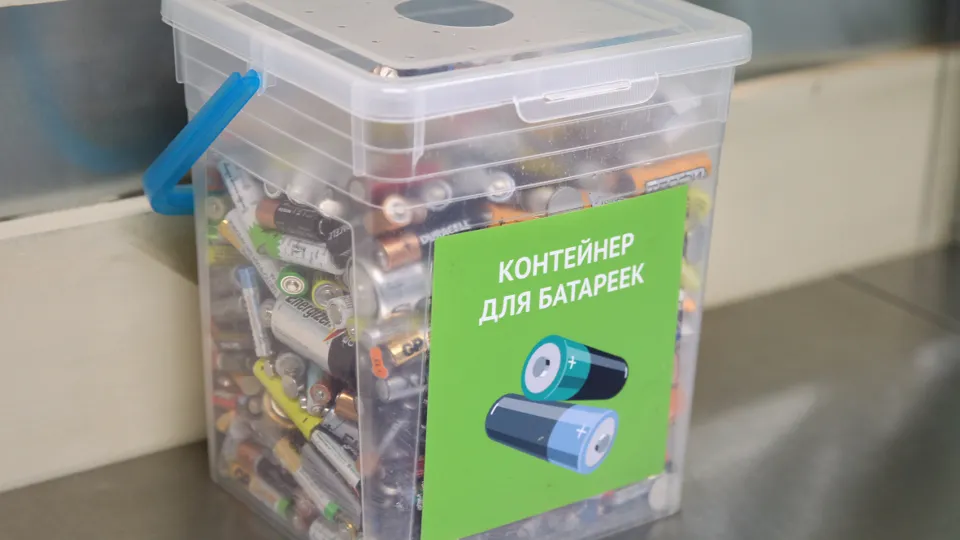 Фото: ТАСС/Ольга Зиновская