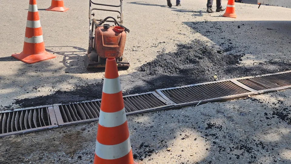 Фото: МедиаБанк Подмосковья/Екатерина Мелкозерова