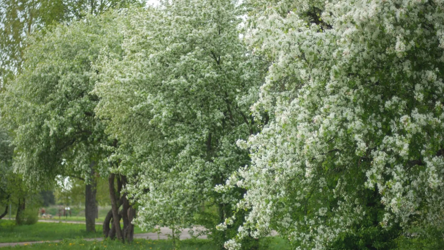 Фото: t.me/parkrivera