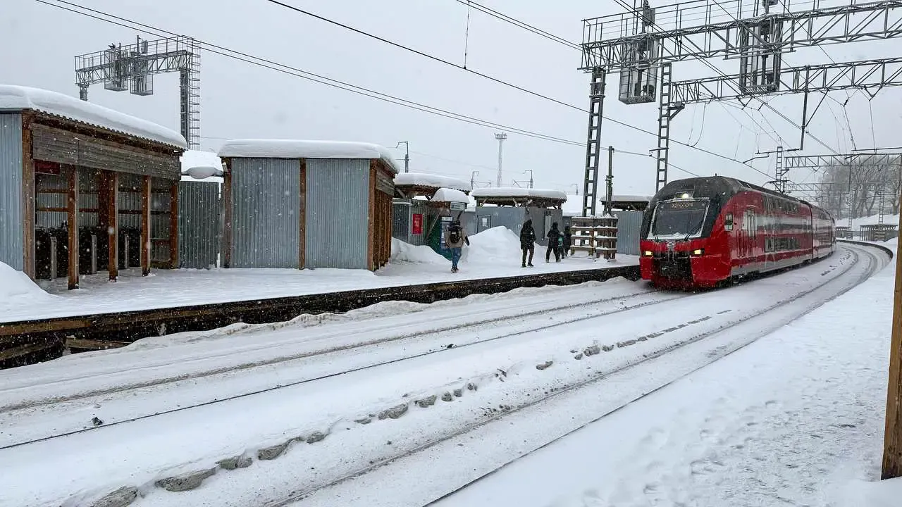 REGIONS/Анастасия Малышенко