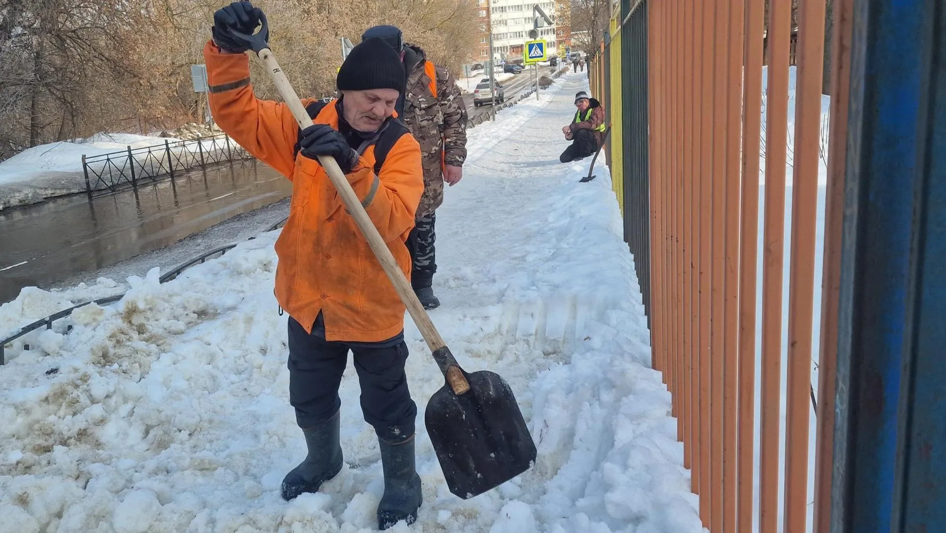 REGIONS/Ольга Шаронова