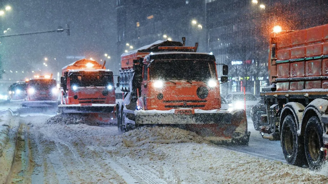 РИА Новости/Наталья Селиверстова