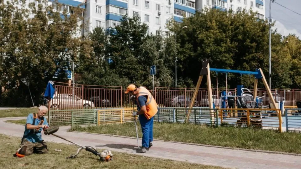 Фото: Администрация г.о. Чехов