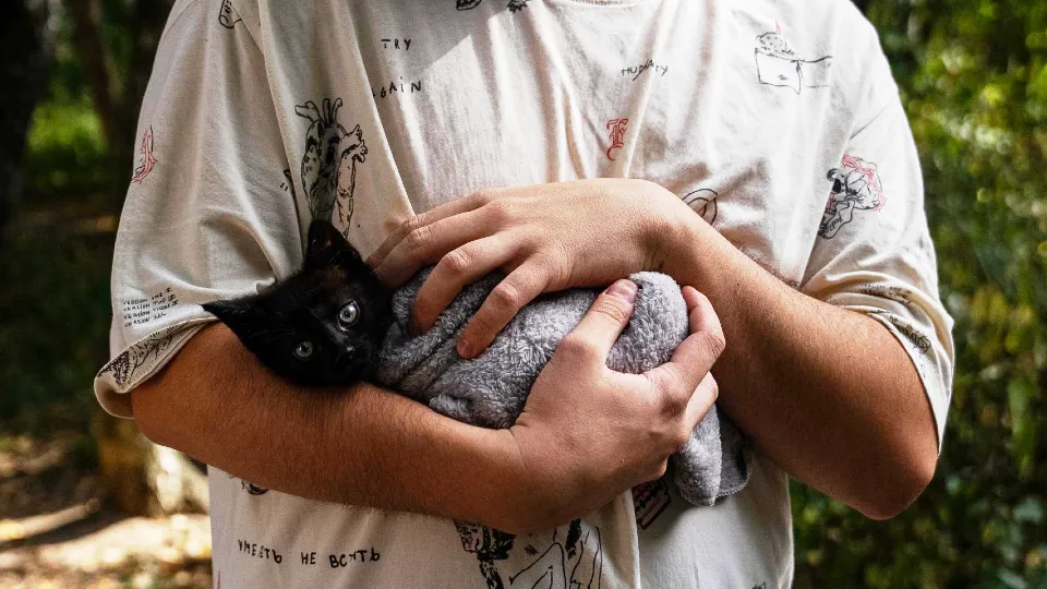 Фото: пресс-служба министерства сельского хозяйства и продовольствия Московской области