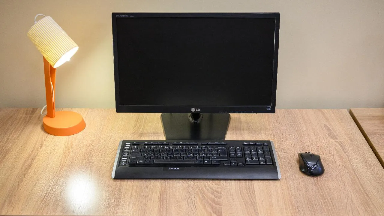 В России ввели единую электронную отчетность для некоммерческих организаций