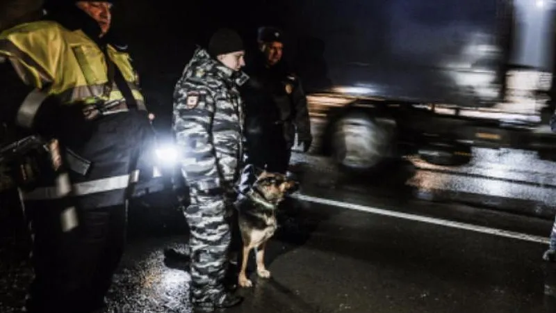 Евгений Одиноков / РИА Новости