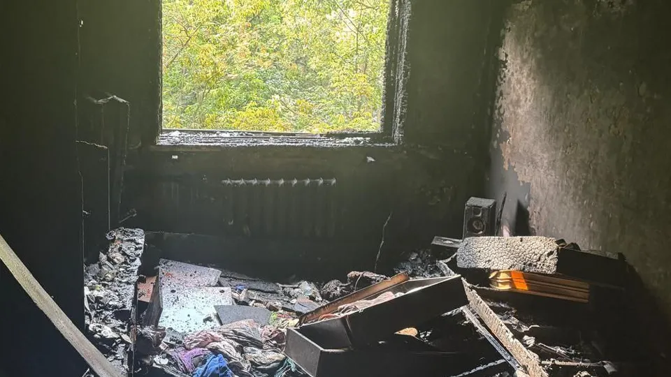 Фото: t.me/mosoblproc