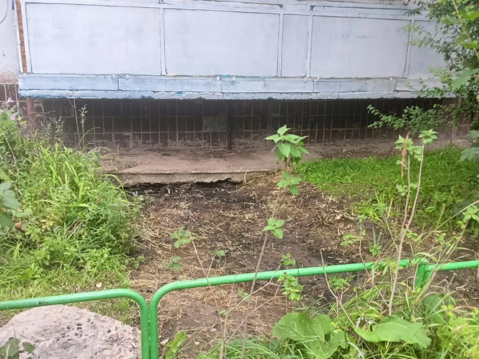 Фото: пресс-служба администрации г.о. Кашира