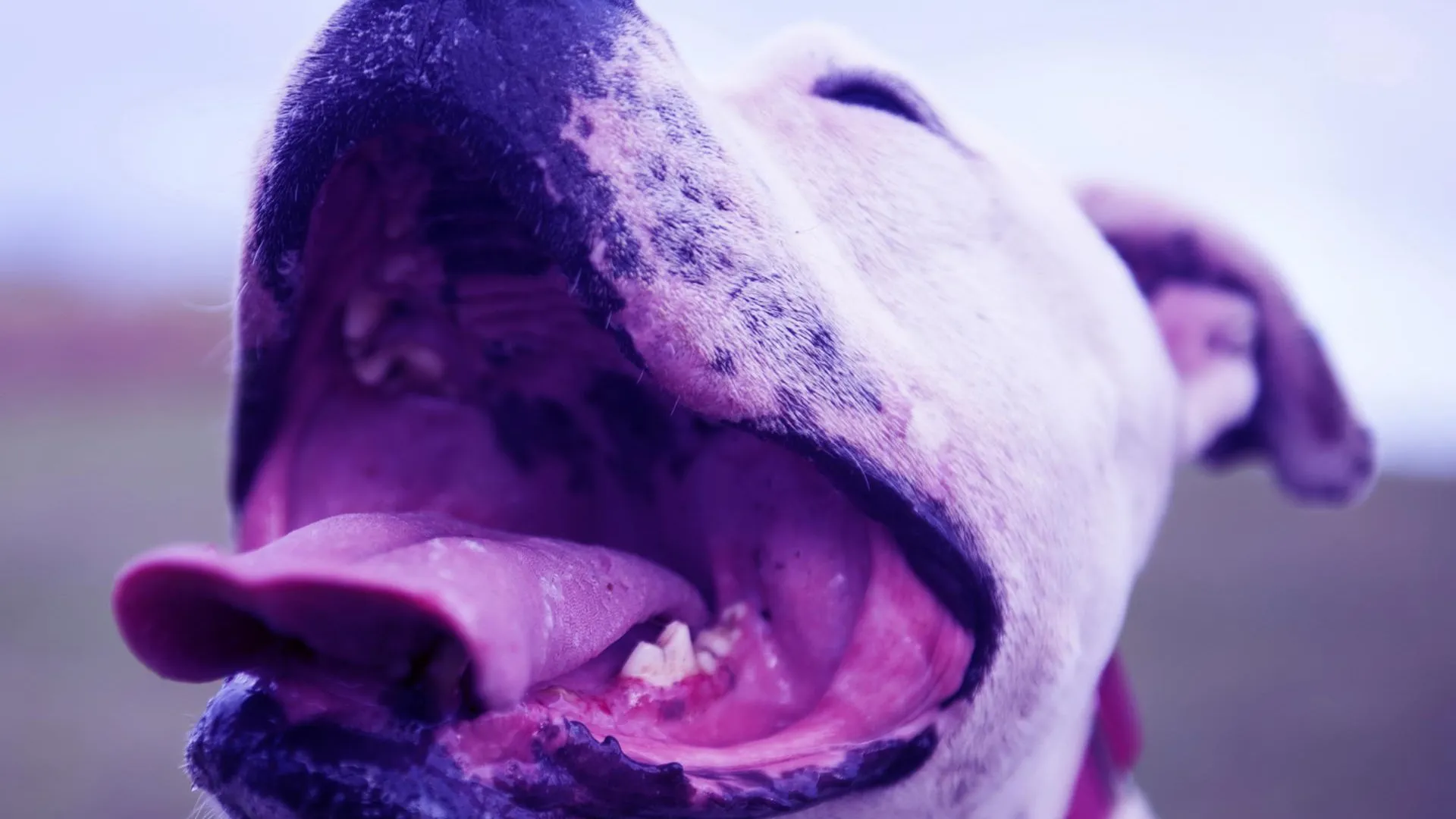 Источник: freepik.com