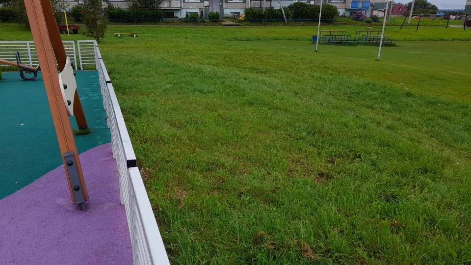 Фото: пресс-служба администрации м.о. Лотошино