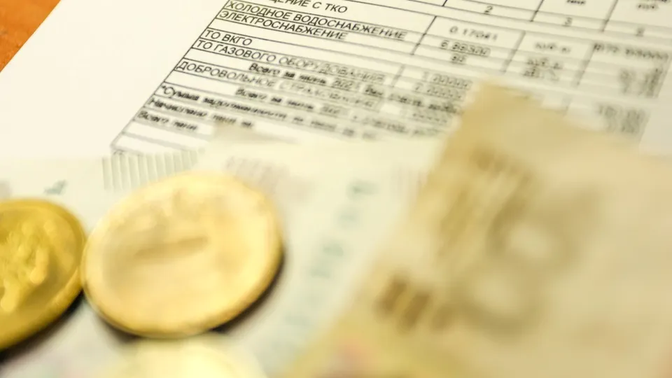 Фото: пресс-служба администрации г.о. Кашира