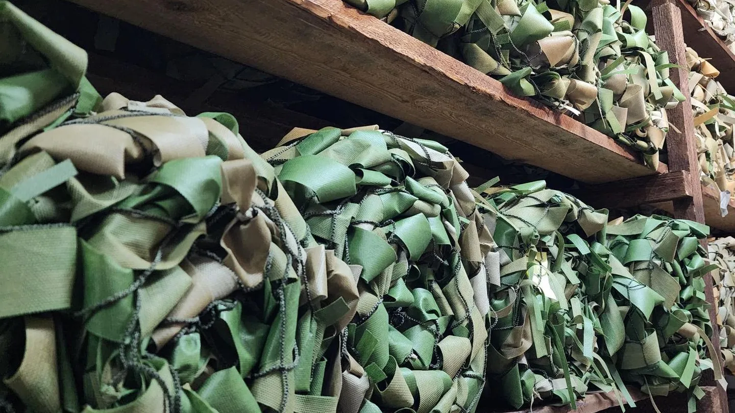 Фото: МедиаБанк Подмосковья/Валерия Тингаева