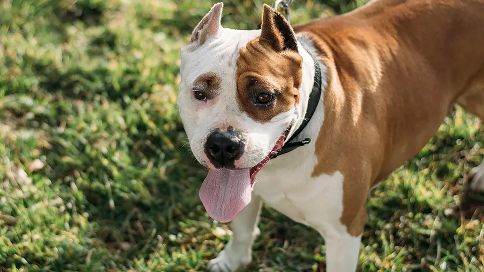 Фото: istockphoto.com