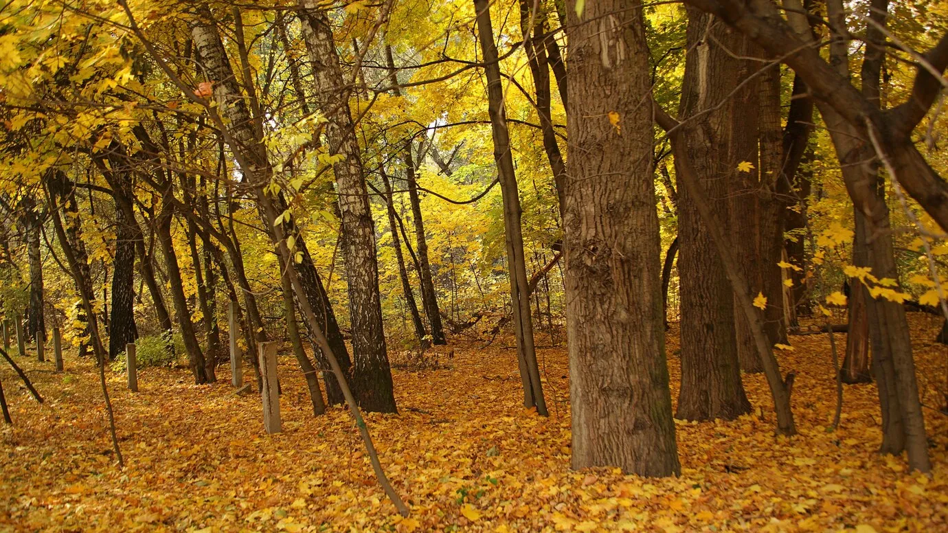 Фото: freepik.com