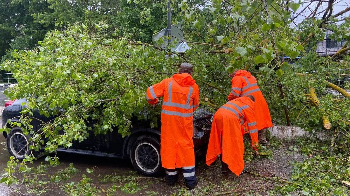 Фото: пресс-служба администрации Рузского городского округа