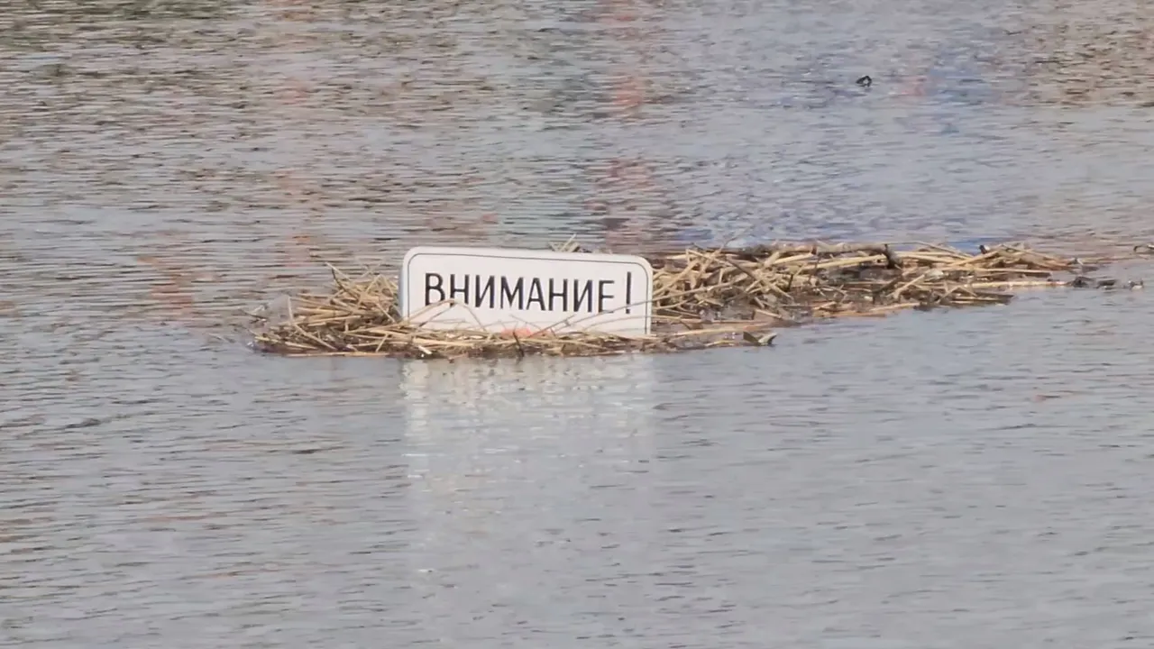 МедиаБанк Подмосковья/Марина Анисимова