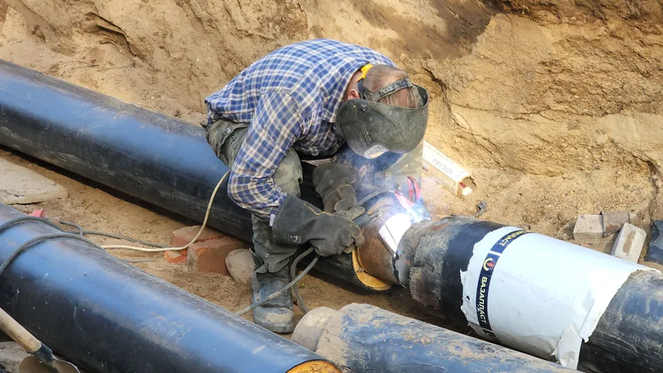 Фото: МедиаБанк Подмосковья/Валерия Тингаева