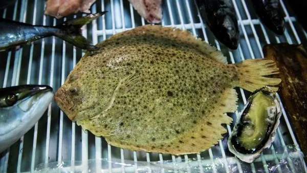 Рыбу, выловленную в водах Фукусимы, начали отправлять на экспорт