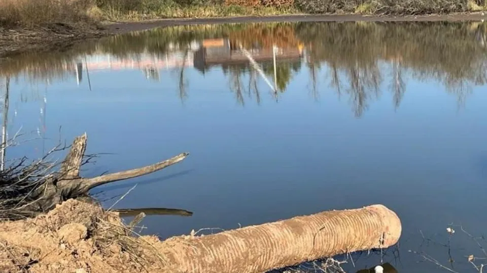 Фото: Министерство экологии и природопользования Московской области