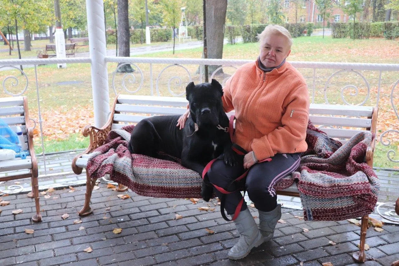 Источник: пресс-служба администрации городского округа Павловский Посад