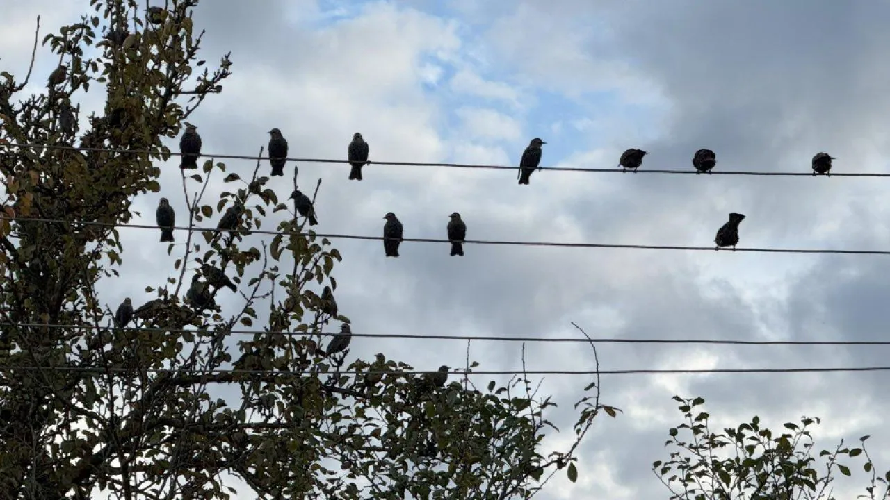 REGIONS/Илья Попов