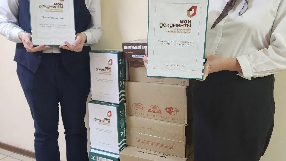 Источник фото: Многофункциональный центр г.о. Электросталь