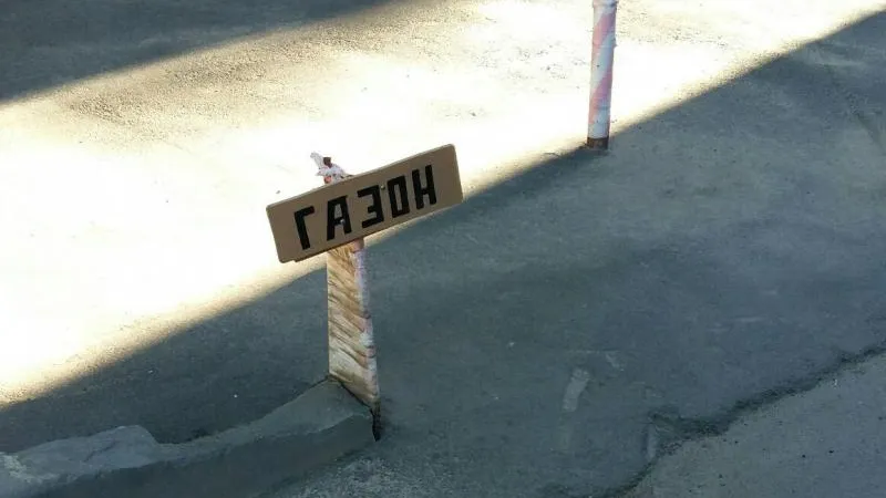Арина Гаврилюк / «ВКонтакте»
