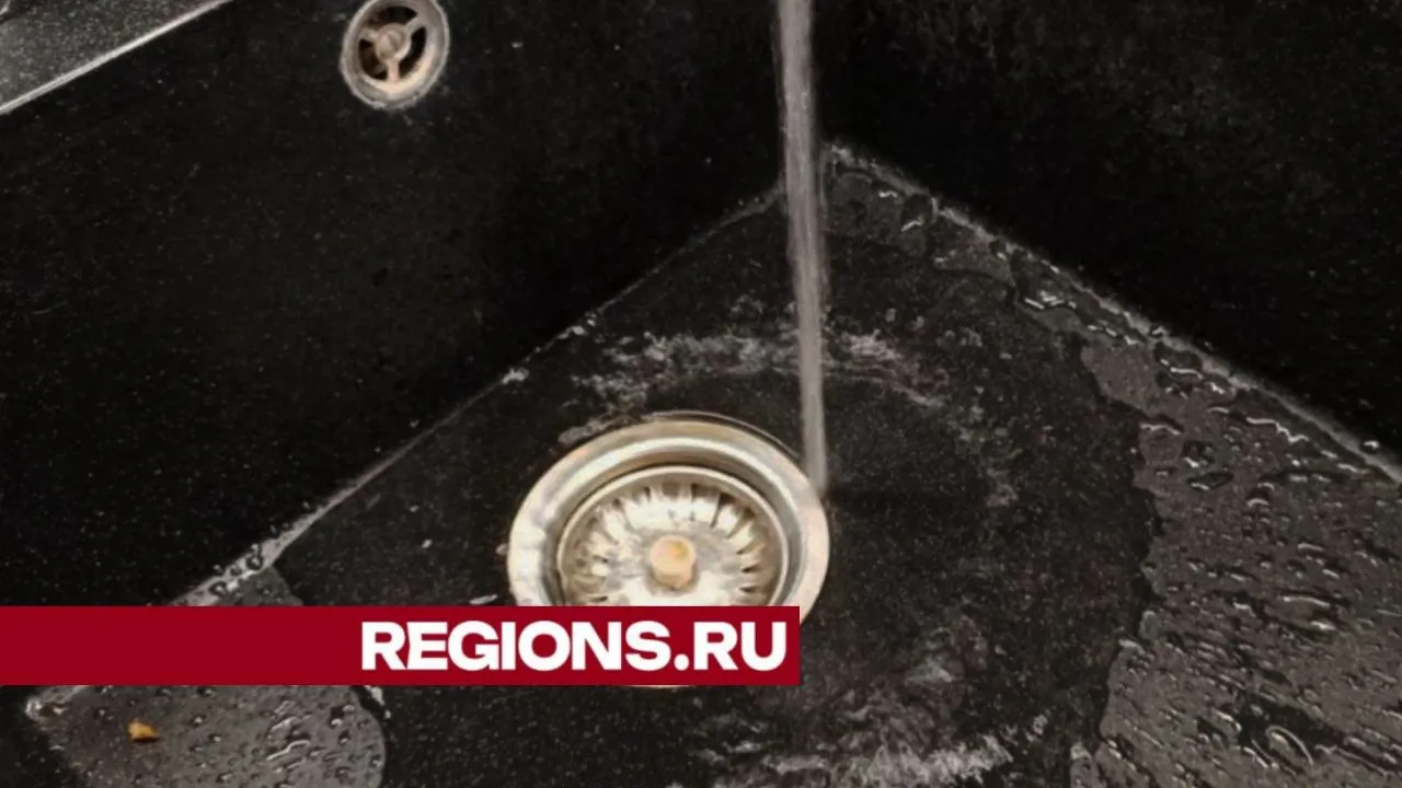 Фото: REGIONS/Наталья Широкая